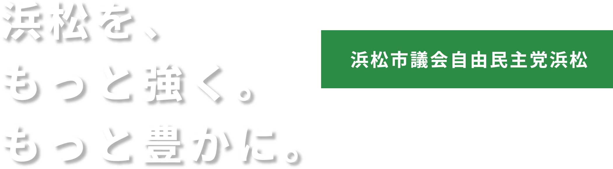 浜松を、もっと強く。もっと豊かに。 浜松市議会自由民主党浜松